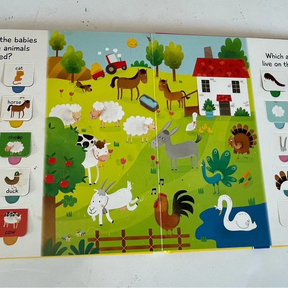 100 Flaps To Learn Animals book‎